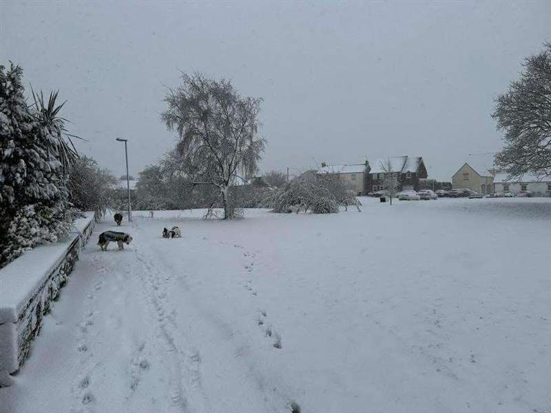 Winter 4